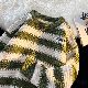 セーター シンプル ファッション カジュアル 韓国ファッション オシャレ 服 秋冬 ポリエステル 長袖 一般 一般 ラウンドネック プルオーバー なし ボーダー